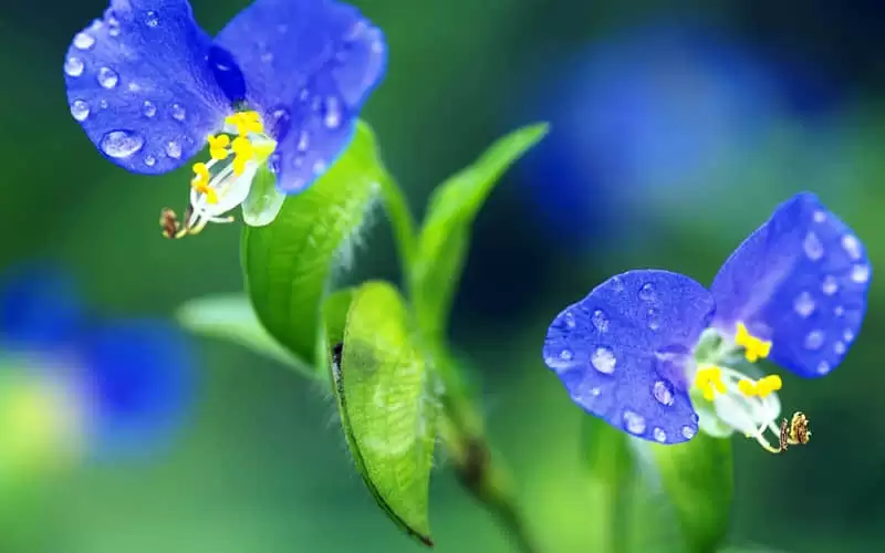 Ҫ����ʲô��������������Щ��