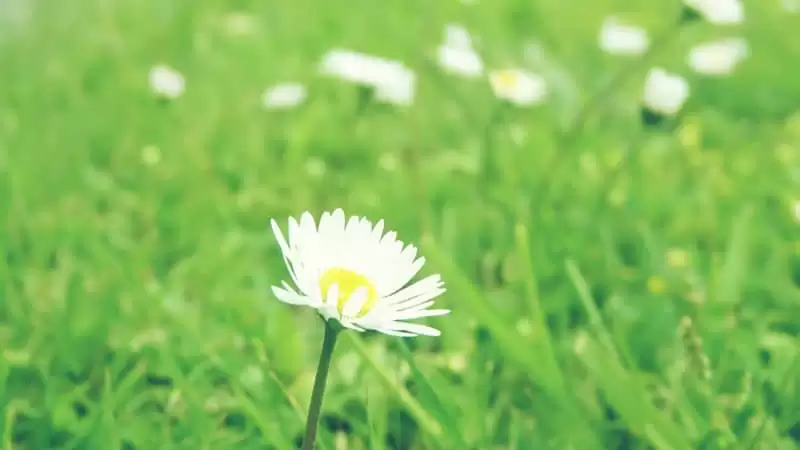 ˲�������ඥ