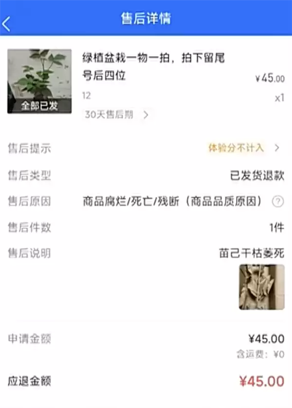 �µ����12�������AI��ͼ���� ƽ̨�ö���׼���� �ϰ������˵�