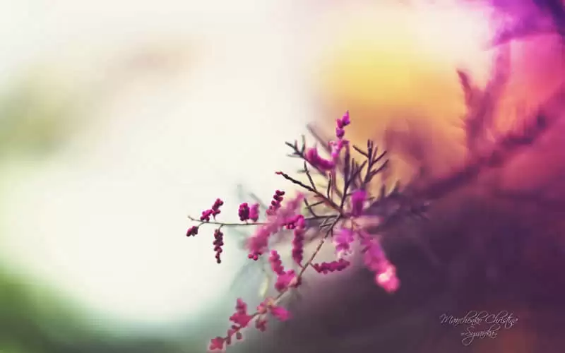��һ��ȥЦ���������Ȧ