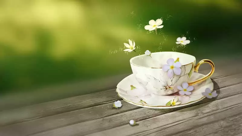 520�İ���һ�䷢�������