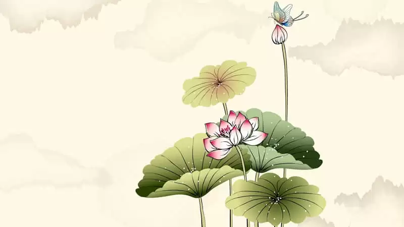520�뷢һ����һ�����簲����Ȧ