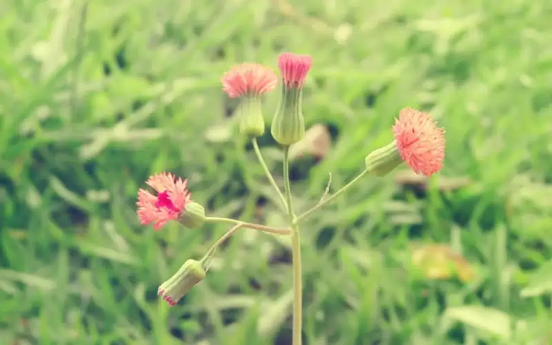 520������Ц��������Ȧ