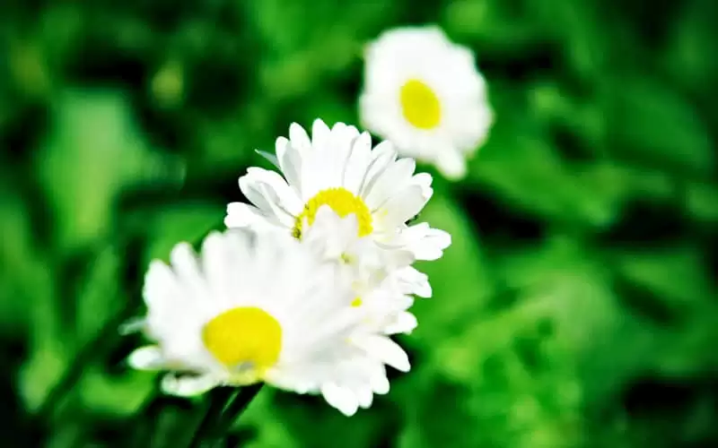 5��21��С������Ȧһ��Ҫ������