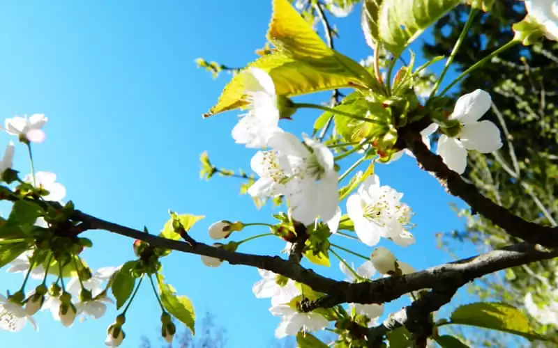 һ��Ů������Ȧ��ô��û�˸�������