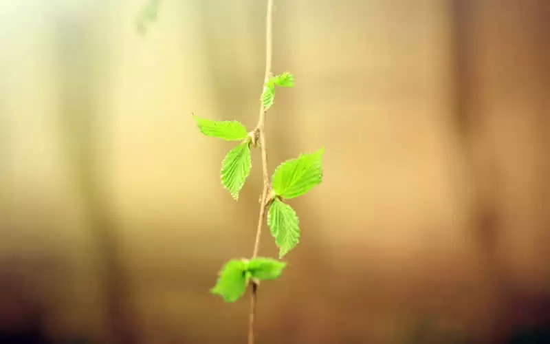 С�� | С�����������İ������Ŀ�һ���Ķ�������������