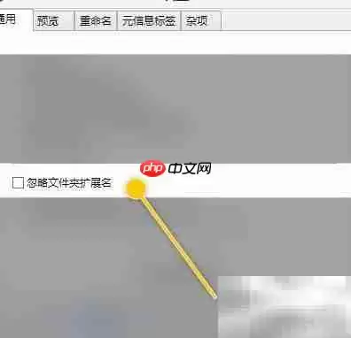 ReNamer�����ļ�����չ�����÷������
