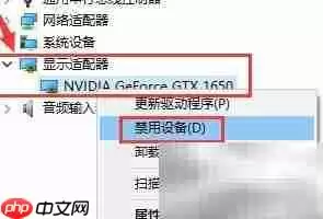 Win11�����������NVIDIA�������ͼ��