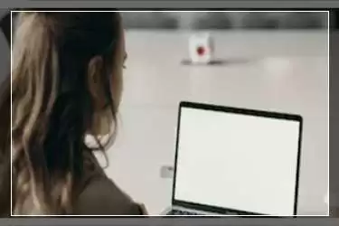С����˽������΢��Υ����ƽ̨�������