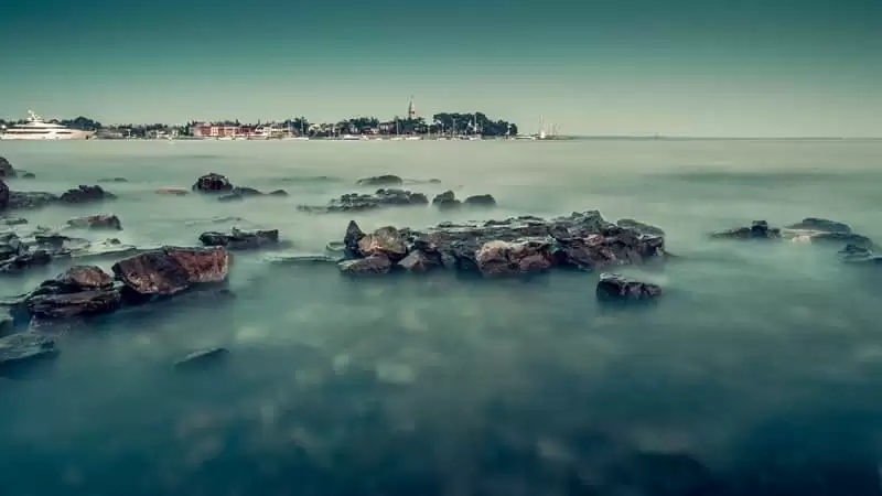 �����ֵ�����������������������ԽƷԽ����Խ��Խ����