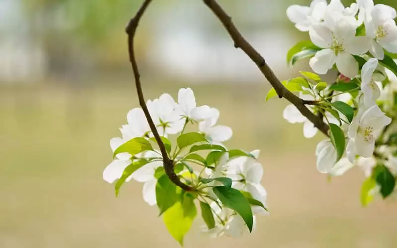 һ��Ů����ô˵˵�������ð��Լ�