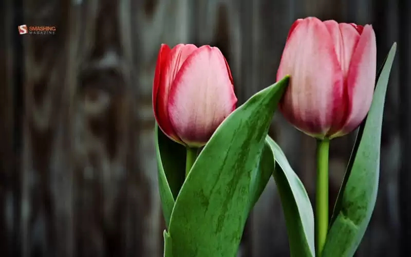 ����Ұһ����Ҫ������