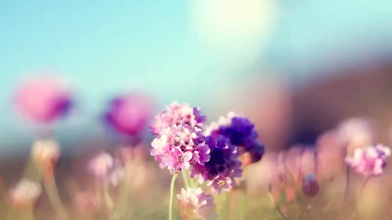 Ů�˴���Ƣ���İ�������