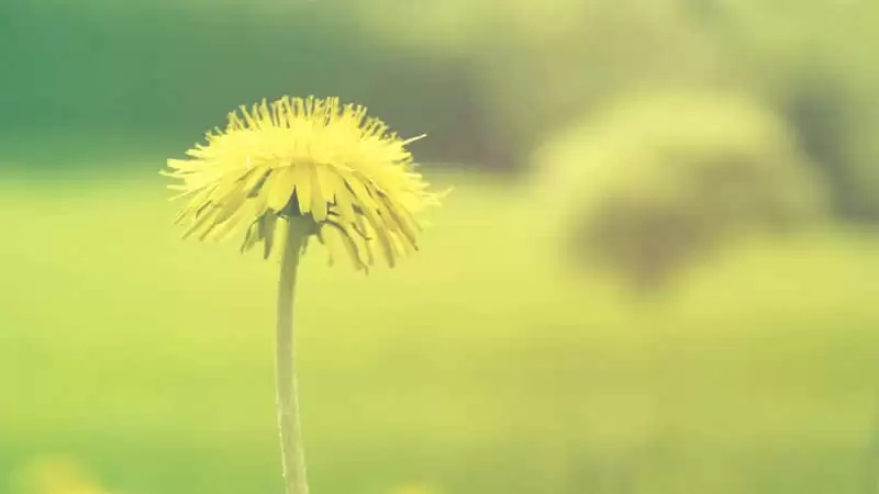 ���������������öԷ���������