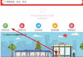 �����ǻ۹���APPʵʱ��ѯ�������ƺŷ���