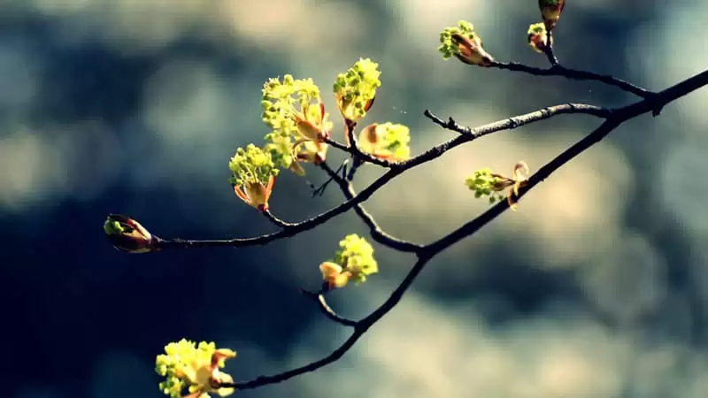 ÿ�챳һ�����º�����һ·���