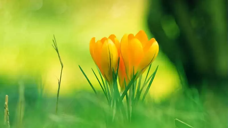 һ�������ж����㲻����ֻ̽�������־ͺ�"