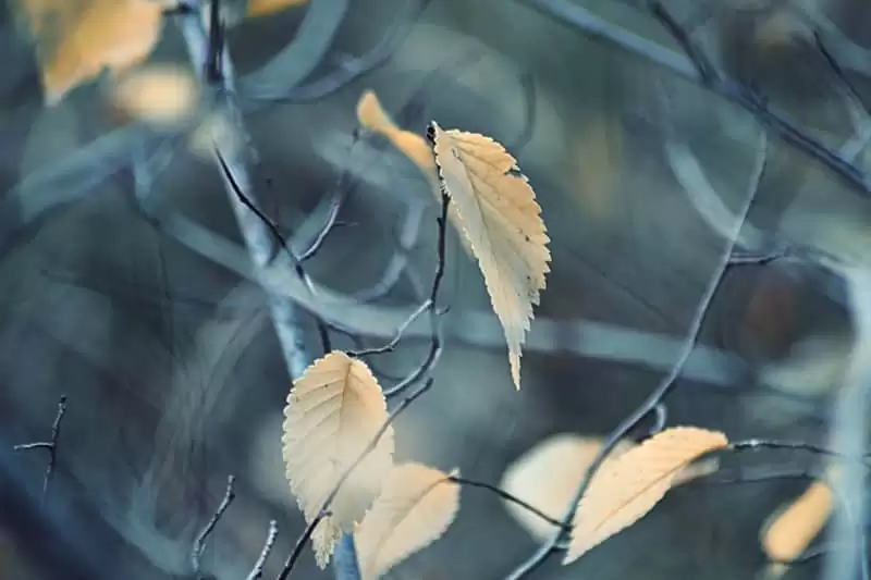 ��һ��ͯ��������ȥ�����������Ȧ