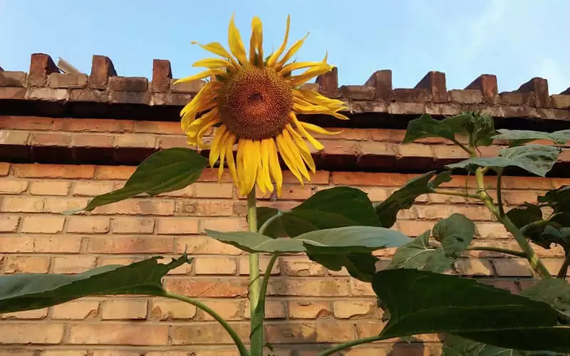 ��������Ů�˷���קק�İ�