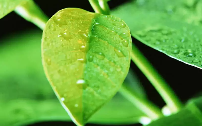 ��һ�۾ͺ�ϲ��������Ȧ�İ� .