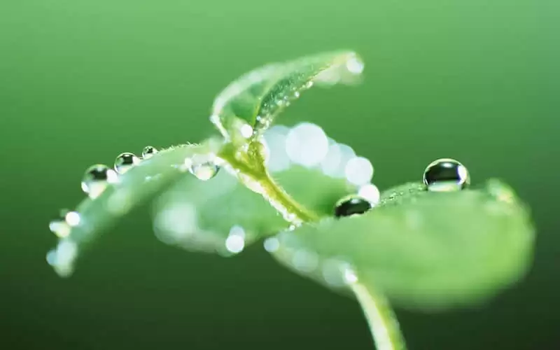 ΢���ö�����������ʱ
