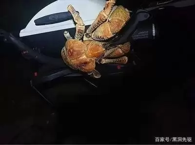 ����Կ�з�������ŷ���ɾͽ�������