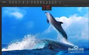 ��Ӱħ�������������̳�