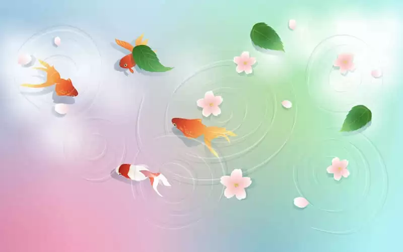 ���겻���˻�������