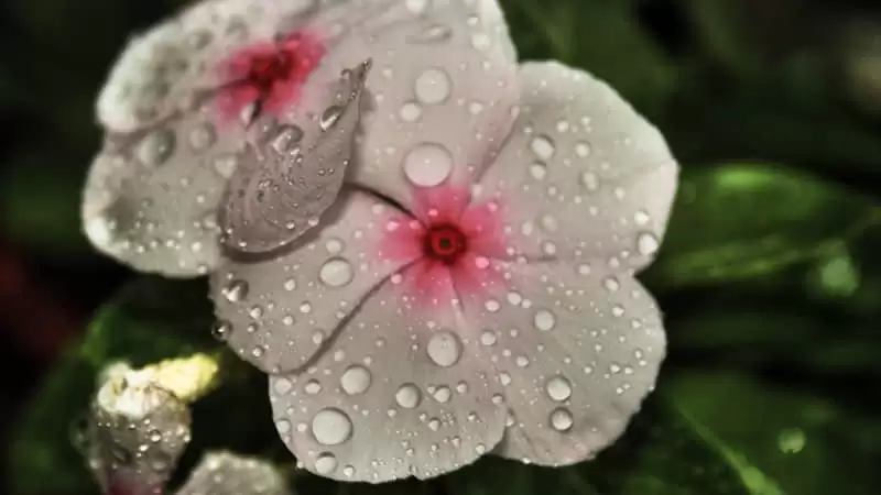 �簲����������Ȧû�����������