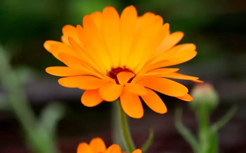 6��1����һ��ȥ������Ȧ�����