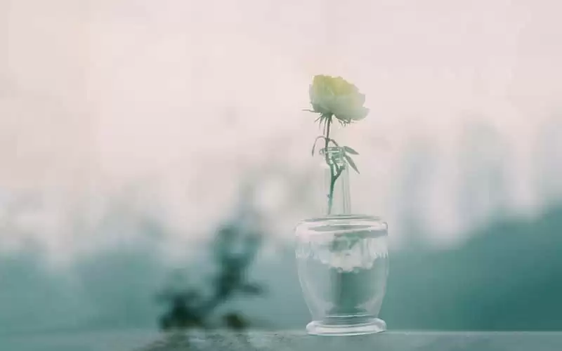 ��һС���ѵĽ�������Ȧ����ô��