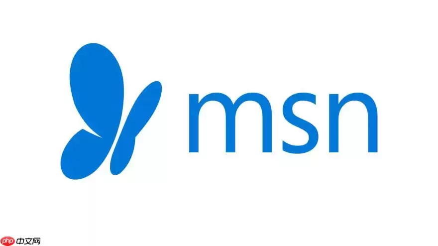 MSN����ٷ���¼���ֱ��ҳ��