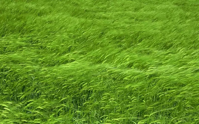 �����˾��������ֵ��İ��ͻ�����ҵ���¸º�