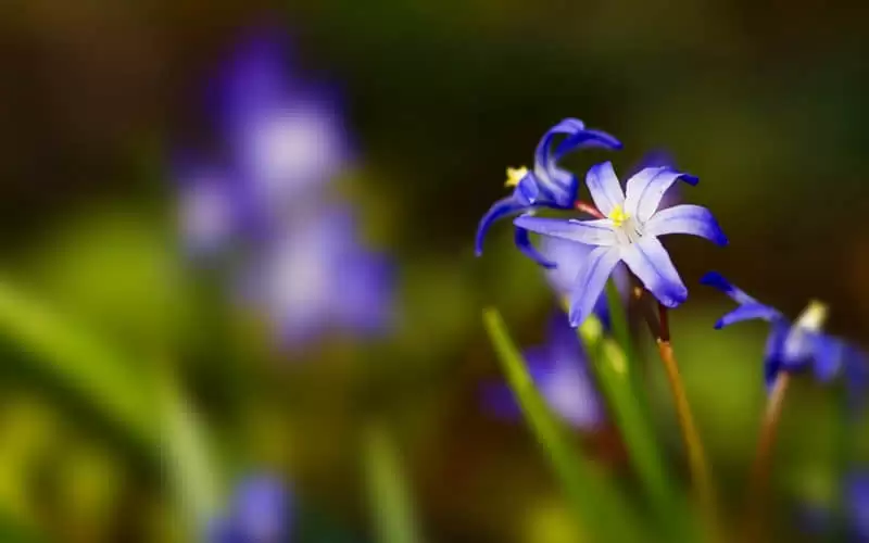 ������Ȧĳ�˿��˻��̲�ס��ϵ��