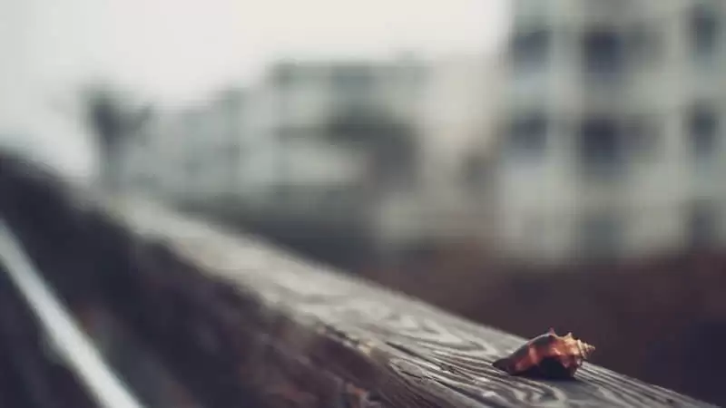 ����˯���ž���ô��Цʺ�������Ȧ