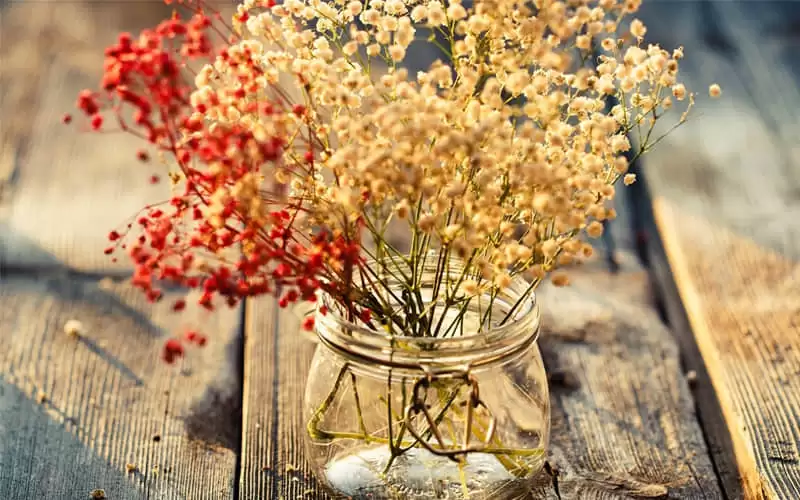 ���Լ��õ��Ⱳ�Ӳ������ֺ�˭��