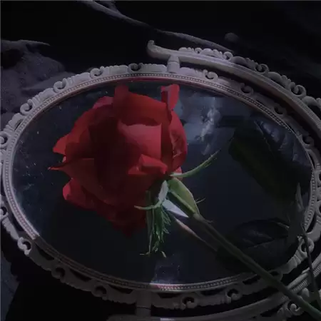 С�ڱ���Ů����������������ôѡ��
