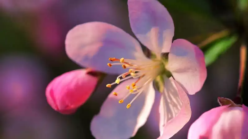 ÿ�췢������ϵ����ȦӮ�ÿͻ��ø�������Ȼ�����