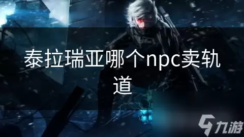 ̩�����ǹ���ĸ�NPC����