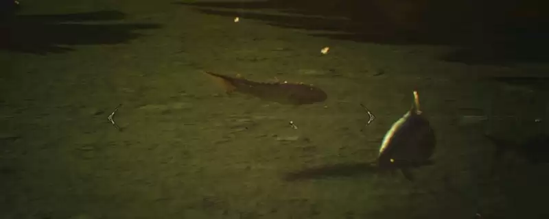 �������˻�Ұ�������㹥�Լ���