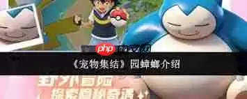 ���Ｏ��԰��뾿��ָʲô