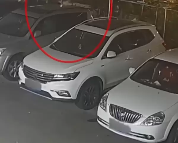 ��˹������30���ֽ���ʧ�������������Զ����� ��Ϊ��Ӧ��5¥����Կ��