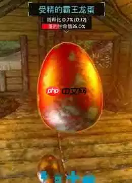 �������������������������ѧ