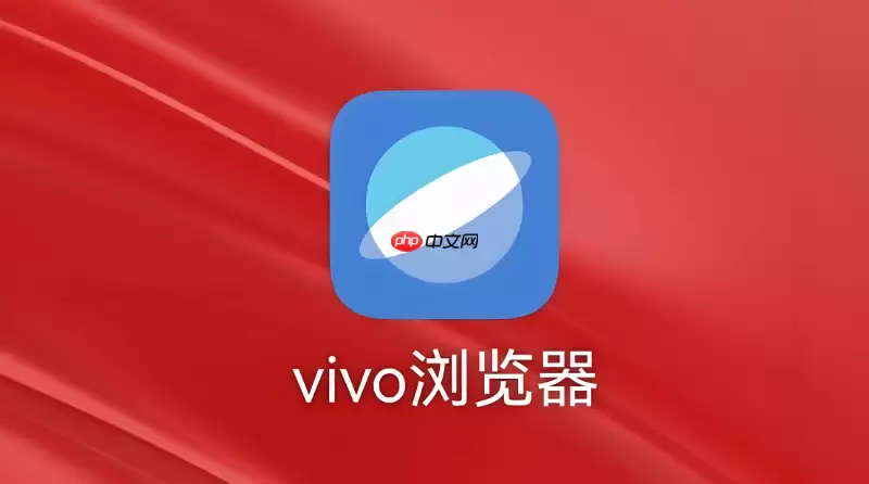 vivo����������ض���վ����λ�÷���Ȩ��