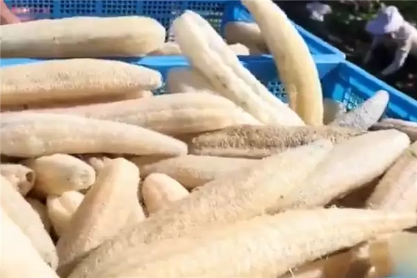 ���衢ϴ�붼���� �й���������˿��ȿ���������ˣ�������5��Ԫ