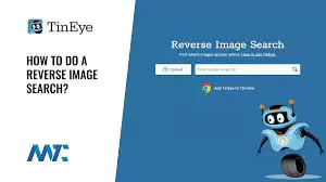 TinEyeͼƬ��������ʹ�ý̳�