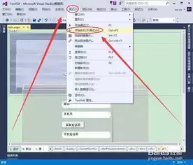 ��Visual Studio�������ҳ�ķ����뼼��
