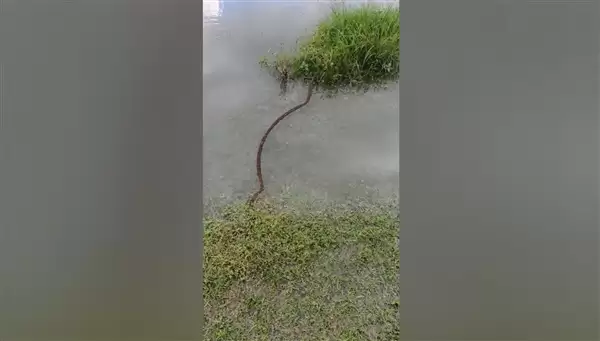 ������������������Ź��� ���ѣ��Ž��������