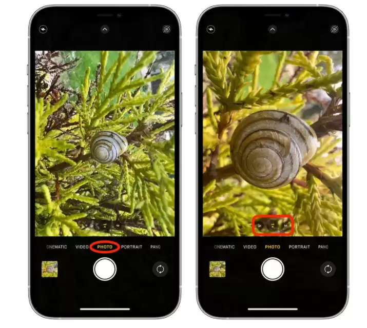 ���ʹ��iPhone 13 Pro��Max΢��ģʽ���������Ƭ����ϸ�̳�