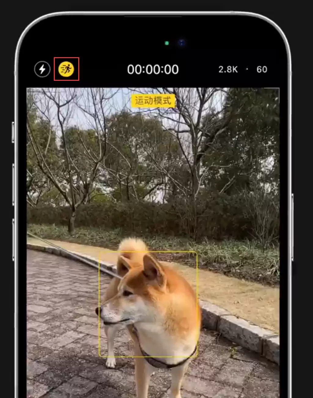 �����⼸��С���������iPhone 14�ֳ�������ȶ�